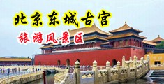 男人j插女人b免费观看中国北京-东城古宫旅游风景区